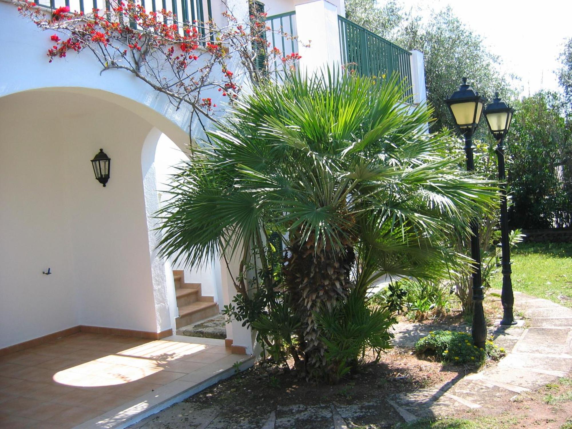 Apartamentos Marivent Cala'N Blanes  Exterior foto